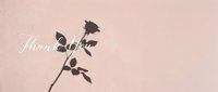 Rose shadow on a soft pink wall with elegant Thank You calligraphy script, minimal aesthetic for greeting cards, social media, and wedding stationery.
