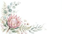 Watercolor protea flower with eucalyptus and fern leaves on white background, isolated botanical illustration for wedding invitations, greeting cards, and design projects.