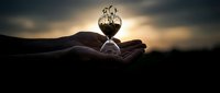 Hand holding hourglass with growing sprouts against dramatic sunset sky, symbolizing time, nature, and hope for sustainable future.