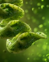Fresh spiral pasta with pesto sauce and herbs in dynamic composition on green bokeh background, macro food photography highlighting texture and details.