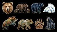 Grizzly bear head and brown bears in various poses with cubs, black bears, polar bear, and paw print isolated on transparent background. Ready for clipart, t-shirt design, stickers, print-on-demand products, and sublimation projects.