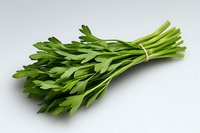 Fresh green lovage bunch tied with string on white background, aromatic culinary herb with celery-like leaves for cooking and garnishing dishes.