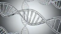 DNA double helix strands with molecular structure showing genetic code and biotechnology research for medical science applications.