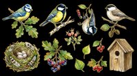 Watercolor garden birds clipart set with birdhouse, nest, berries and leaves, isolated on transparent background, ready for stickers, t-shirt design, and print on demand.