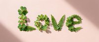 Word love spelled with green leaves and ferns on soft pink background with natural shadows. Eco-friendly typography concept for sustainable design projects.