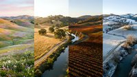 Seasonal landscape collage showing rolling hills through four seasons with wildflowers, golden fields, autumn vineyards and snowy winter terrain.