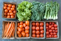 Fresh organic produce arranged in boxes including cherry tomatoes, carrots, lettuce, kale and bok choy on gray stone background. Perfect for healthy eating concepts.