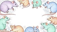 Watercolor mice frame border with cute rodents in pastel colors creating decorative space for text or design elements on white background.