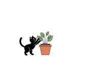 Black cat playing with potted plant on white background, isolated design element for pet care, gardening and home decor projects.