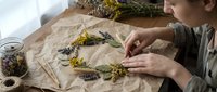 Young adult male of Caucasian ethnicity arranging dried medicinal herbs and plants on kraft paper for herbal medicine preparation, alternative wellness, or botanical study purposes.