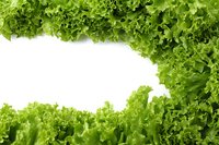Fresh green lettuce leaves border frame on white background for healthy food design and culinary projects.