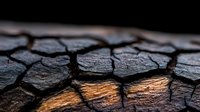 Dramatic close-up of charred wood texture with glowing orange embers beneath dark cracked surface, creating abstract pattern of burnt fragments and fire.
