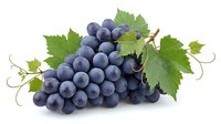 Fresh purple grapes cluster with green leaves isolated on white background for healthy food design and culinary projects.