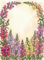 Watercolor snapdragon flower frame with pink, purple, and yellow blooms forming an arch, soft pastel background with copy space for text.