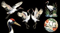 Japanese red-crowned cranes set, isolated on transparent background. Elegant birds in flight, dancing poses, and nature scenes. Ready for t-shirt design, stickers, sublimation, print on demand.