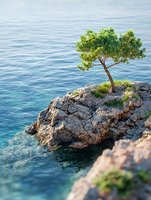 Lone pine tree growing on rocky cliff edge above calm blue sea waters, symbolizing resilience and solitude in nature, dramatic coastal landscape perspective.