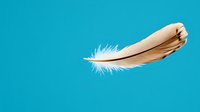 Single beige feather floating against vibrant turquoise background, showcasing delicate details and soft texture in minimalist composition for design projects.