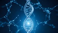 Digital DNA double helix structure with glowing molecular connections on dark blue background for genetic research and biotechnology applications.