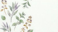 Watercolor botanical illustration featuring delicate herbs and wildflowers in soft purple, green and brown tones on cream background for natural design projects.