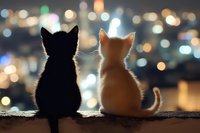 Two kittens silhouetted against blurred city lights at night, sitting side by side on windowsill, black and ginger cats watching cityscape bokeh together.