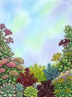 Colorful succulent garden frame with watercolor sky background for botanical designs and nature-themed projects.