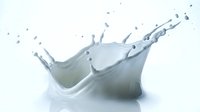 Fresh milk splash with dynamic droplets and crown formation on white background for dairy advertising and beverage marketing campaigns.