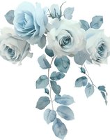 Delicate light blue roses with leaves on white background, isolated floral arrangement for wedding invitations, greeting cards and romantic design projects.