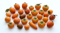 Fresh ripe persimmons collection on white background. Organic autumn fruit harvest variety including fuyu and hachiya types for healthy eating.