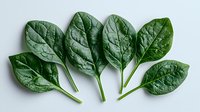 Fresh raw spinach leaves arranged in row on light background, organic healthy greens with textured surface and vibrant color, isolated food photography for cooking blogs.