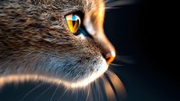 Extreme close-up of cat's golden eye and face profile against dark background, showing detailed fur texture and whiskers in dramatic lighting with shallow depth of field.