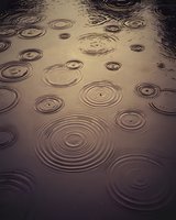 Raindrops creating concentric ripples on dark water surface with moody atmospheric lighting, natural abstract pattern of circles and rings in puddle.