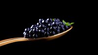 Fresh black caviar on golden spoon against dark background, luxury gourmet food styling with dramatic lighting and selective focus.