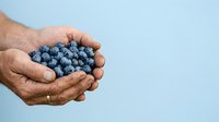 Farmer's hands holding fresh blueberries against light blue background, suitable for agriculture, organic produce, and food marketing campaigns.