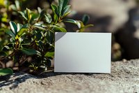 Blank white card mockup against natural stone background with green leaves, creating organic composition for branding presentation or invitation design.