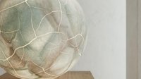 Dried physalis fruit with translucent papery husk showing delicate veins and natural botanical texture for design and decoration projects.