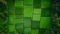 Aerial view of vibrant green rice terraces creating geometric patterns with varying shades, surrounded by tropical vegetation. Sustainable agriculture in Asia.