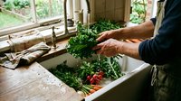 Man washing fresh kale leaves in farmhouse kitchen sink with natural light streaming through window creating rustic organic cooking scene.