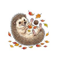 Playful hedgehog lying on back juggling autumn leaves, isolated on white background. Perfect for fall designs, children's illustrations, greeting cards, and seasonal merchandise applications.