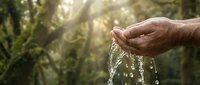 Clean fresh water flowing through cupped hands in natural forest setting with sunlight filtering through green foliage creating peaceful environmental scene.