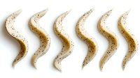Wavy strips of creamy sesame halva with dark speckles arranged in a row on white background, isolated for food packaging design.