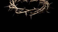 Crown of thorns isolated on black background, symbolizing suffering, sacrifice, and redemption for religious and spiritual artwork.