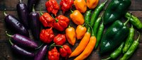 Colorful assortment of fresh peppers including purple eggplants, red bell peppers, orange sweet peppers and green chili peppers arranged on rustic wooden background.