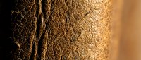 Close-up macro shot of natural brown leather texture showing detailed grain patterns and surface creases in warm golden lighting for crafting projects.