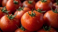 Fresh ripe tomatoes with water drops and green stems in macro photography, showing natural texture and vibrant red color for food and cooking concepts.