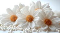Fresh white daisies with yellow centers arranged with small white pearls on light background, creating soft romantic composition for wedding designs.