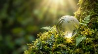 Crystal clear glass sphere resting on vibrant green moss in sunlit forest setting with warm golden light rays creating magical natural atmosphere.