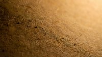 Warm golden sand texture with fine grains and natural patterns creating organic surface for backgrounds and design projects.