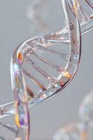 Transparent crystal DNA helix structure with rainbow light reflections against gray background for science and genetics research.