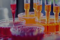 Laboratory pipettes dispensing red and orange liquid samples into petri dishes for scientific research and testing in modern medical or biotech facility.