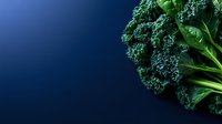 Fresh organic kale leaves with curly edges on dark blue background, dramatic lighting highlights texture and details. Healthy eating concept.